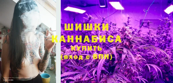 сатива Арсеньев