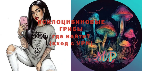 сатива Арсеньев