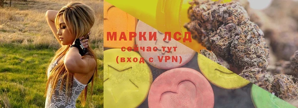 сатива Арсеньев